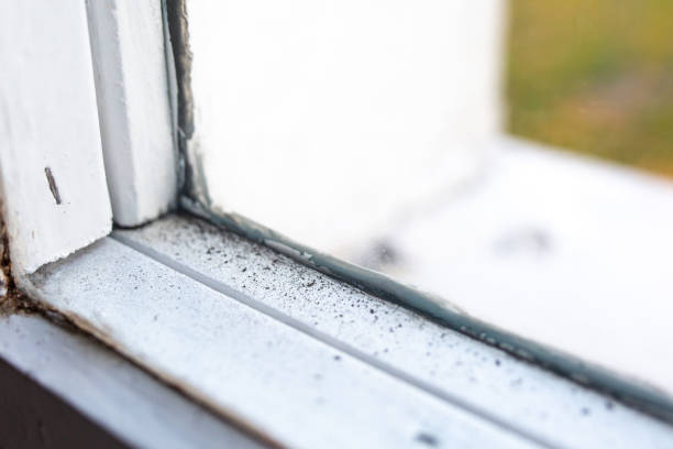 Best Real Estate Mold Inspection  in Gearhart, OR