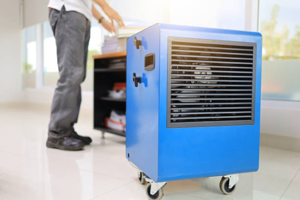 Best Mold Odor Removal Services  in Gearhart, OR