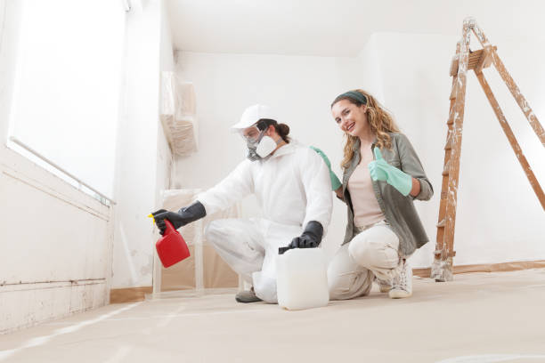 Best Asbestos and Lead Testing During Mold Inspection  in Gearhart, OR