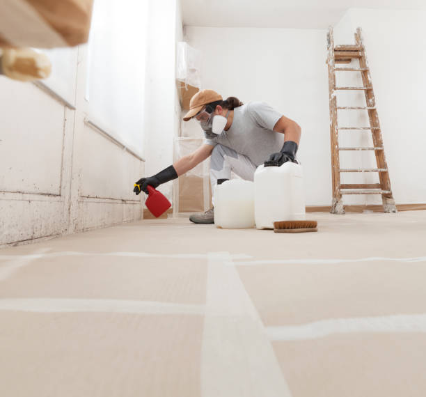 Best Environmental Consulting for Mold Prevention  in Gearhart, OR